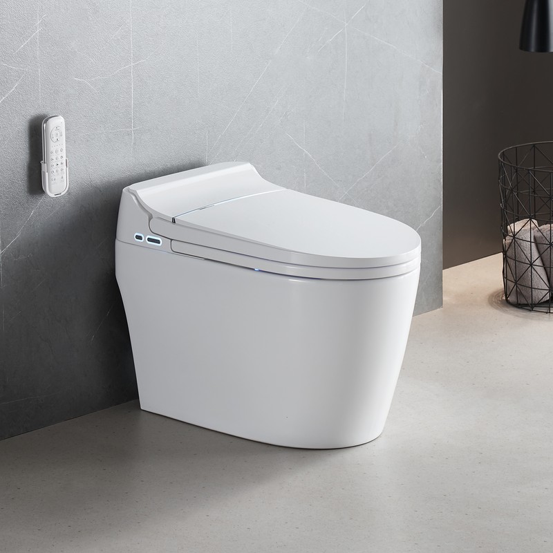 PZ-2209 smart toilet