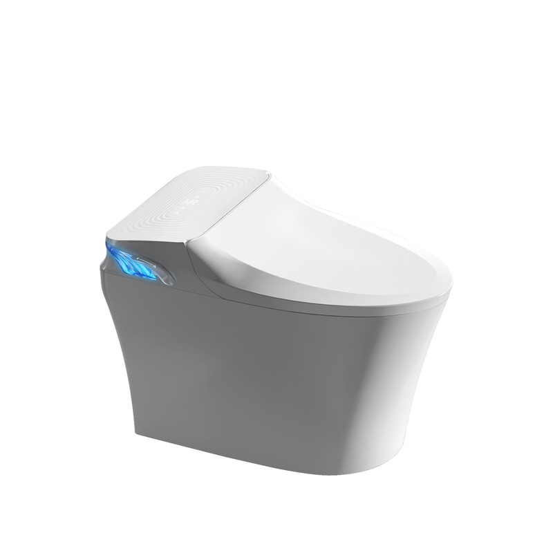 PZ-Y1E smart toilet